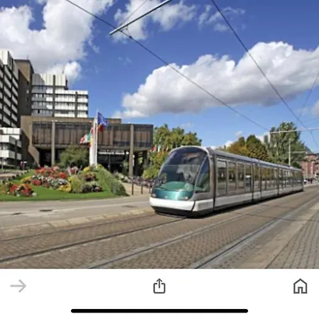 Le Carre Des Oiseaux Strasbourg